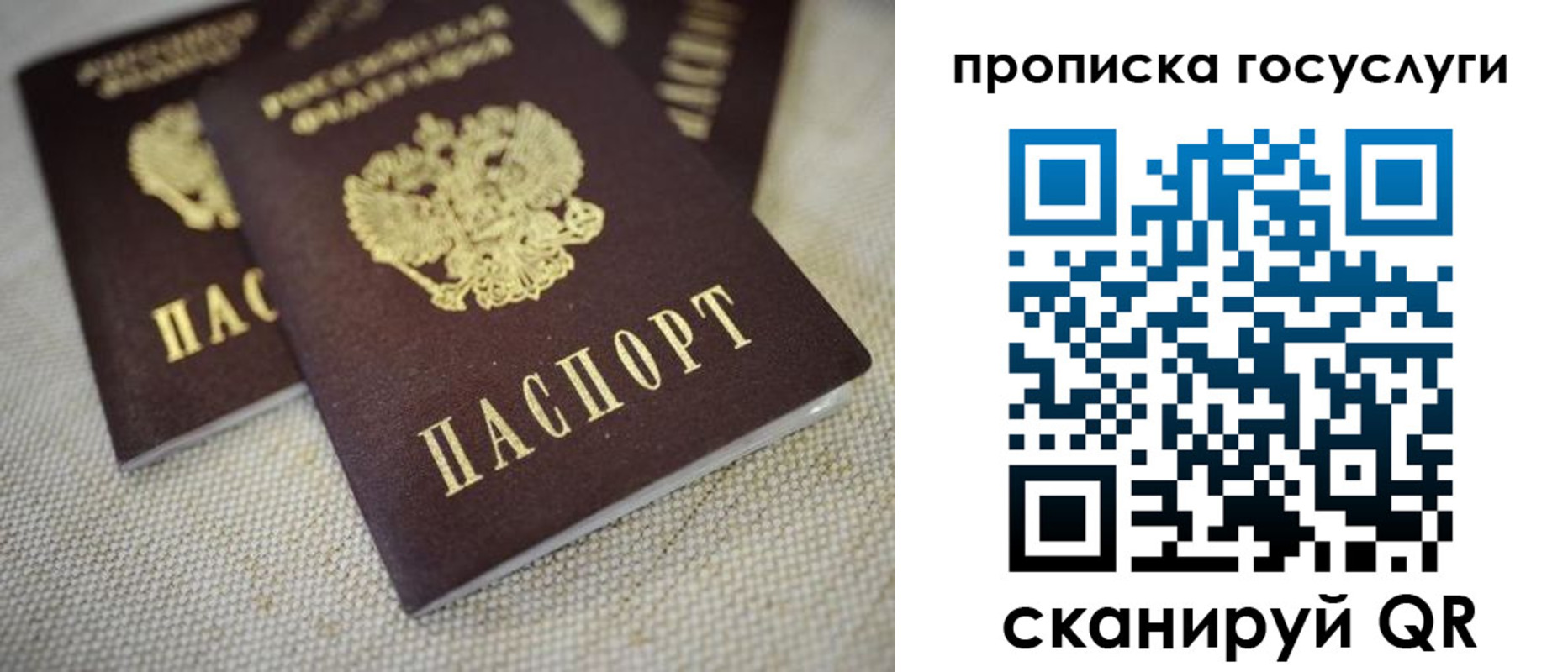 временная регистрация для всех в Выксе